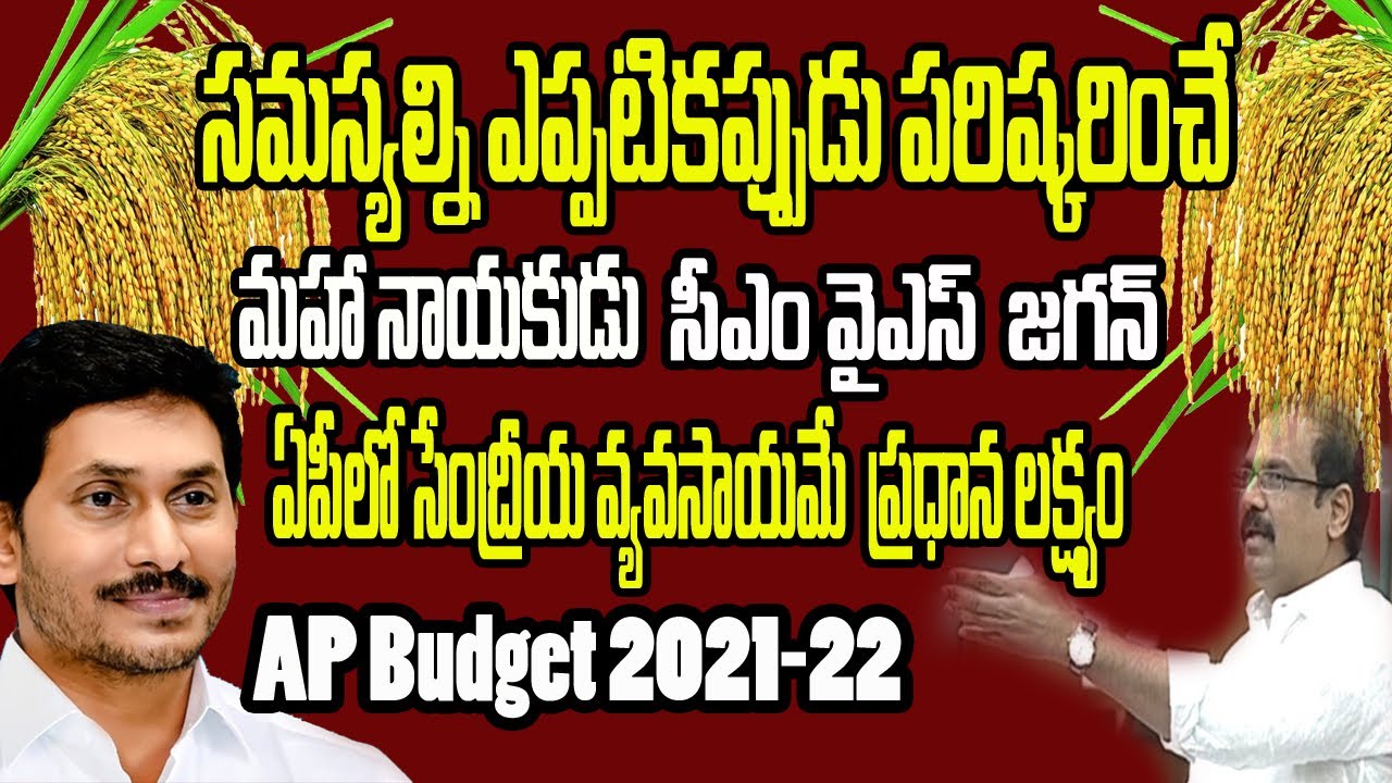 AP Minister Kurasala Kannababu Speech | AP Assembly Budget Session 2021 - 2022  || Point Media