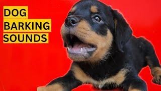 Dog Barking Compilation (See How Your Dogs REACTS)