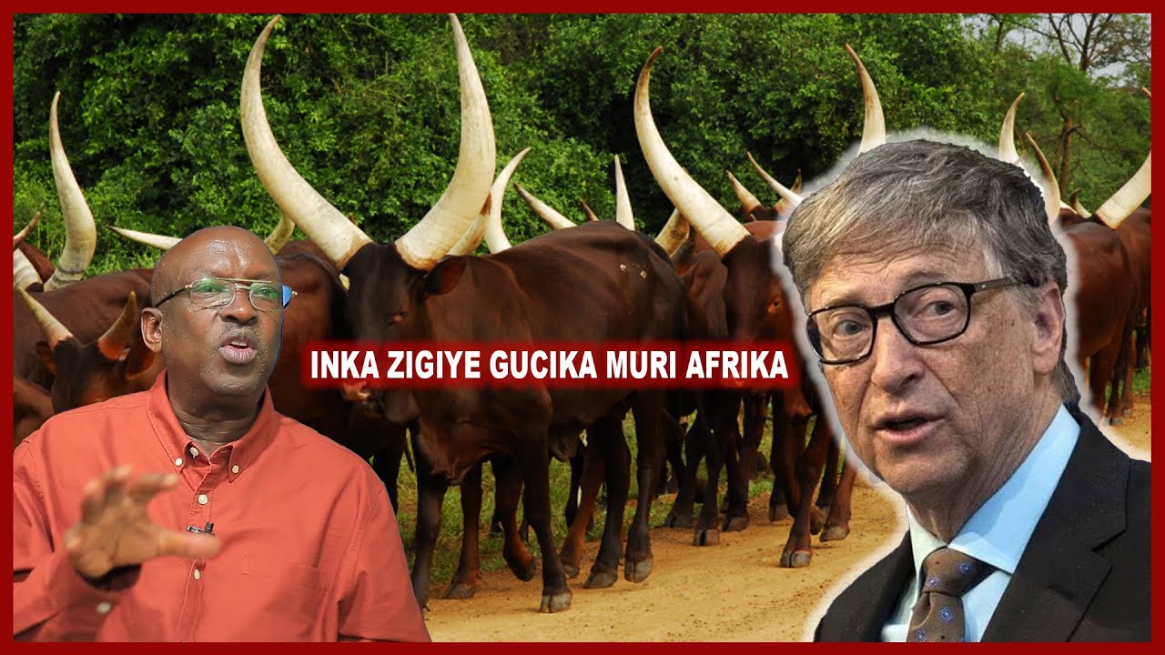 UMUGAMBI WA BILL GATES WO KURIMBURA INKA MURI AFRICA | BANKI Y'ISI IRASHAKA GUKURAHO UBUHINZI KU ISI