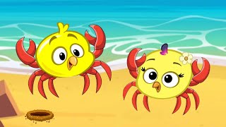 Turma Da Galinha Pintadinha Na Praia