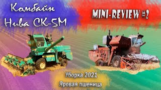 Комбайн Нива СК-5М/Нива-Эффект|Ростсельмаш|Уборка яровой пшеницы|Саратовская область|Не хуже новых