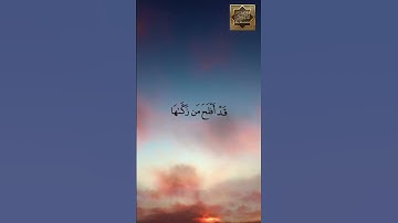 سورة الشمس - القارئ هزاع البلوشى