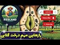 نکات طلایی در مورد درخت گلابی آموزش و شناخت بیماری تقویت درخت درخت گلابی باغبانی آموزش زراعت 