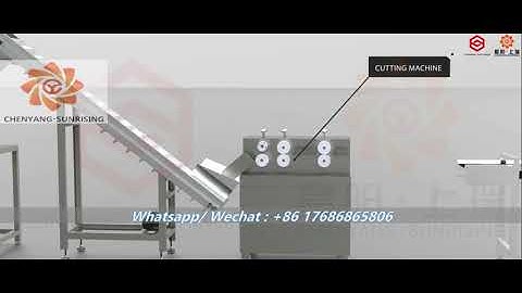 Bread crumb line introduction / Jinan sunrising machinery co., ltd