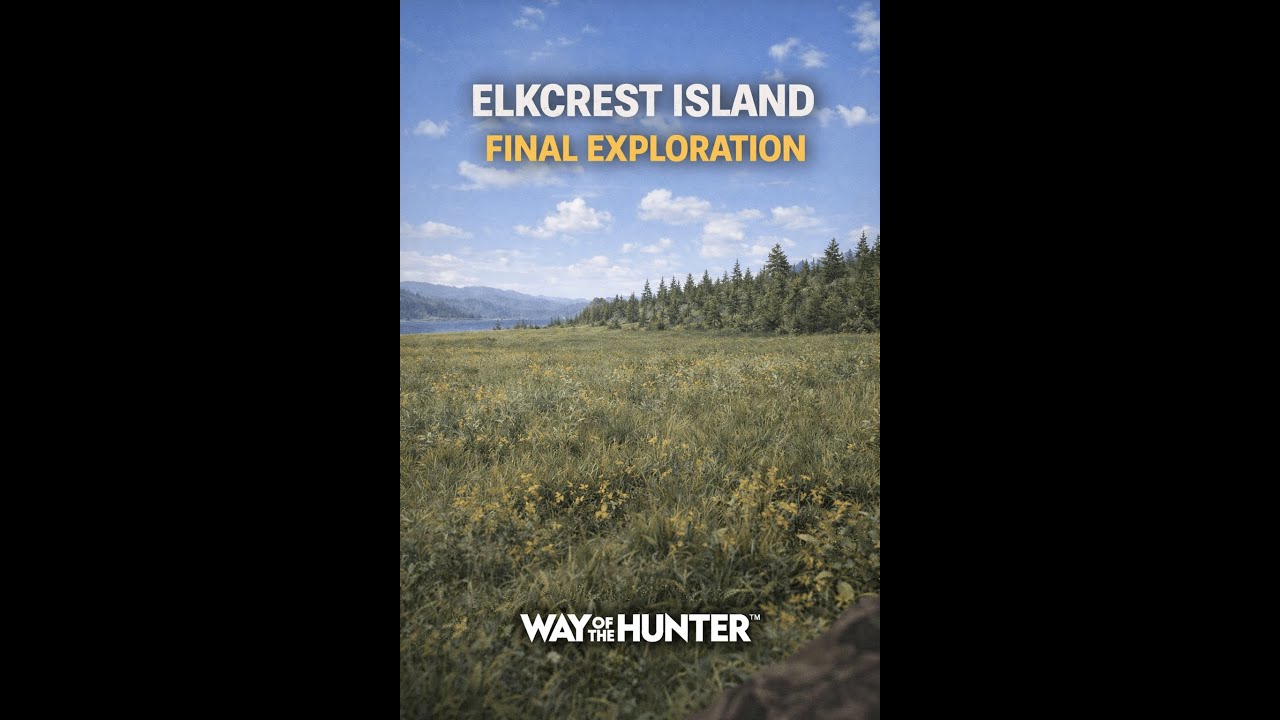 When the Pattern Stops Changing | Elkcrest Island