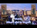 VEGAS VLOG: A GLIMPSE OF WHAT I DID IN VEGAS!!