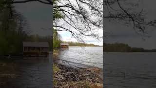 Озеро Велье (Псковщина)