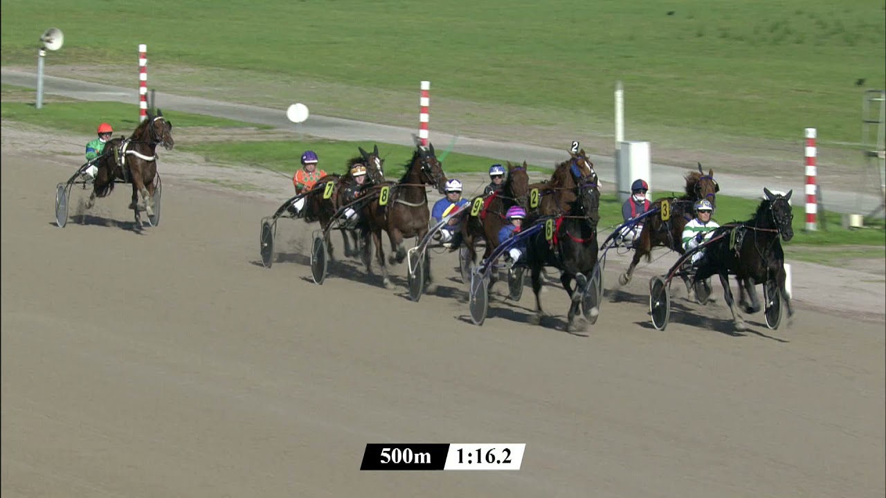 Victoria Park Wolvega 08-10-2021 Koers 1 Defi Magik - Wim Hendriks