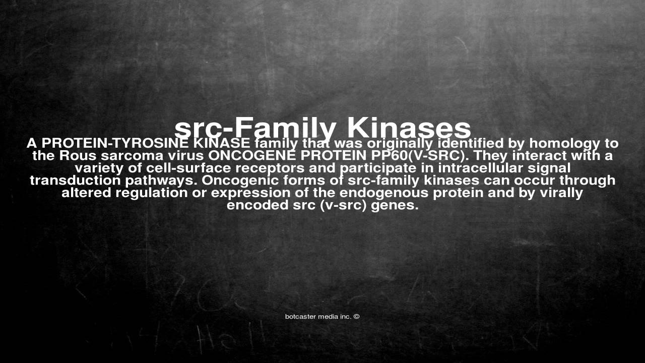 Medical vocabulary What does srcFamily Kinases mean YouTube Medical vocabulary What does srcFamily Kinases mean YouTube