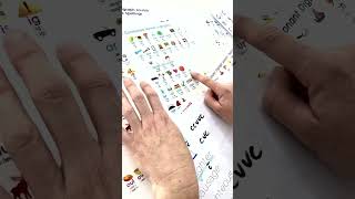 Phonics Spelling Cheat Sheet
