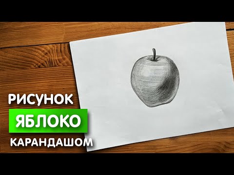 Как нарисовать яблоко карандашом | Рисунок и схема для начинающих поэтапно