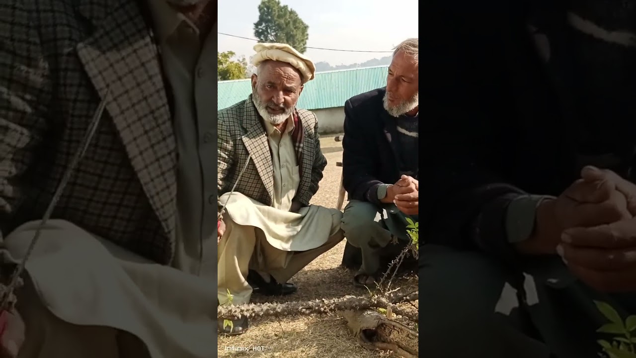 پہاڑی لوگوں کا پسندیدہ ہتھیار تمبر دہ سوٹہ