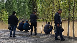 картинка: Фаргона канали олдига  ёш келинчакни кидириш учун от олиб келишди..