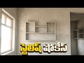 Modern Wall Showcase Design 2025 | Latest Interior &amp; Wardrobe Ideas | New Model Showcase Trends