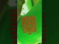 my Bug story first vid btw edit: sorry text I. the way I can't fix it #bug #nature #poisonous