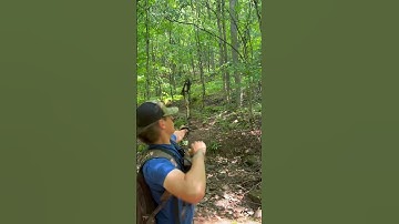 This is what happens when your D-loop gets weak