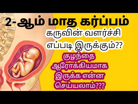 second month pregnancy in Tamil||இரண்டாம் மாத கர்ப்ப அறிகுறிகள்|| pregnancy tips month by month