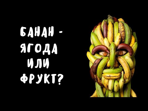 Банан - это ягода или фрукт? |Занимательные факты| Еда