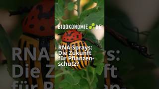 Sie ist überzeugt: RNA-Sprays sind die Zukunft des Pflanzenschutzes.