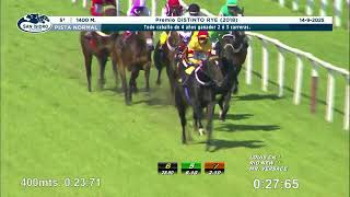 Vidéo de la course PMU PRIX DISTINTO RYE 2018