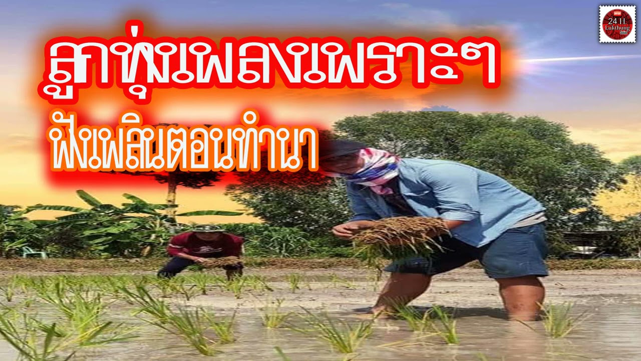 ลูกทุ่งเพลงเพราะๆฟังเพลินตอนทำนา