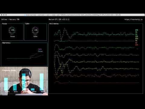 🤯 Connect to the BRAIN via terminal in 3 simple steps