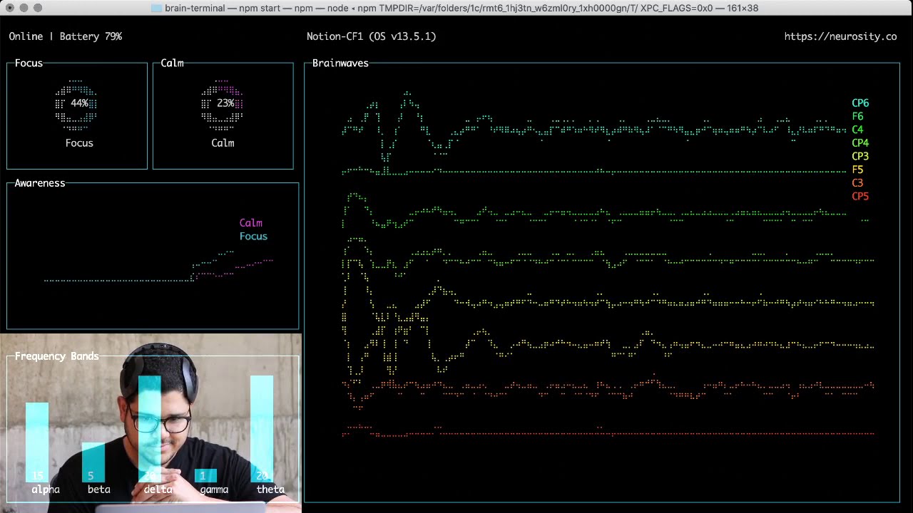 🤯 Connect to the BRAIN via terminal in 3 simple steps