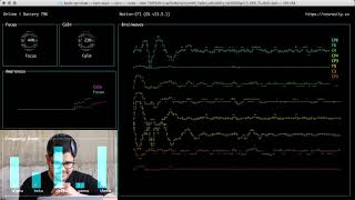 🤯 Connect to the BRAIN via terminal in 3 simple steps screenshot 3