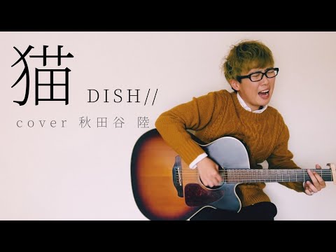 【26/100】猫／DISH// cover
