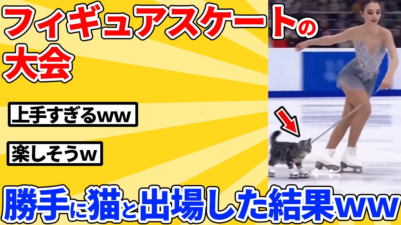 【2ch動物スレ】フィギュアスケートの大会に猫と一緒に出場した結果ｗｗｗｗｗ