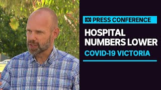IN FULL: Victoria records 20 more COVID deaths as hospitalisations fall to 1,029 | ABC News