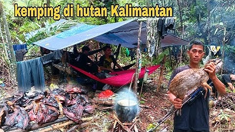 Tidur di hutan Kalimantan 2 hari, ‼️ berburu pelanduk ‼️ dan membuat tenda ,di hantam hujan deras 