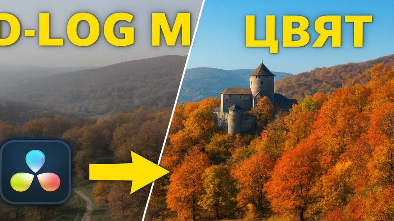 D Log M Color Management in DaVinci Resolve - YouTube