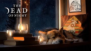 Dog Snoring Ambience 🐕💤❄️ | Canine Friend/Snow in Pet Themed Room for Writing, Reading & Relaxation