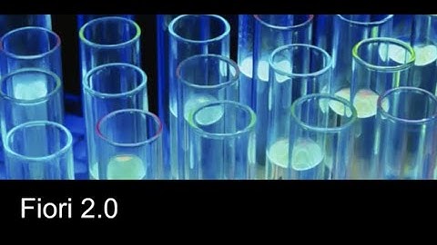 SAP Fiori 2 0 Overview