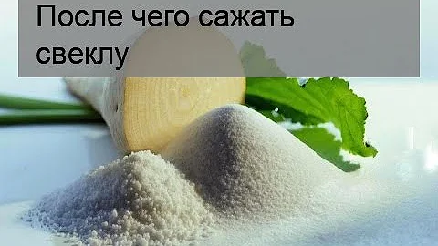 После чего сажать свеклу