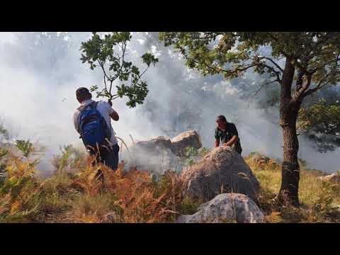 Video: Halorët e Rajonit Perëndimor: Rritja e halorëve në Kaliforni dhe Nevada