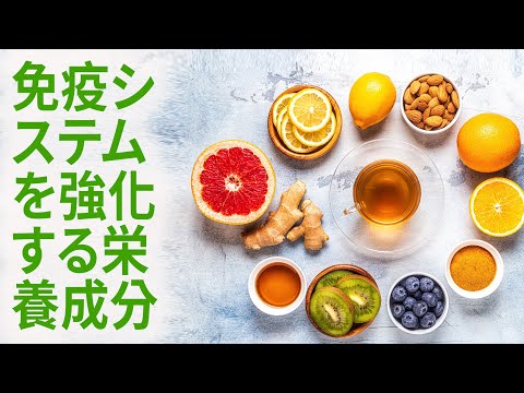 免疫システムを強化する栄養成分 | 利点 Benefits - Japanese