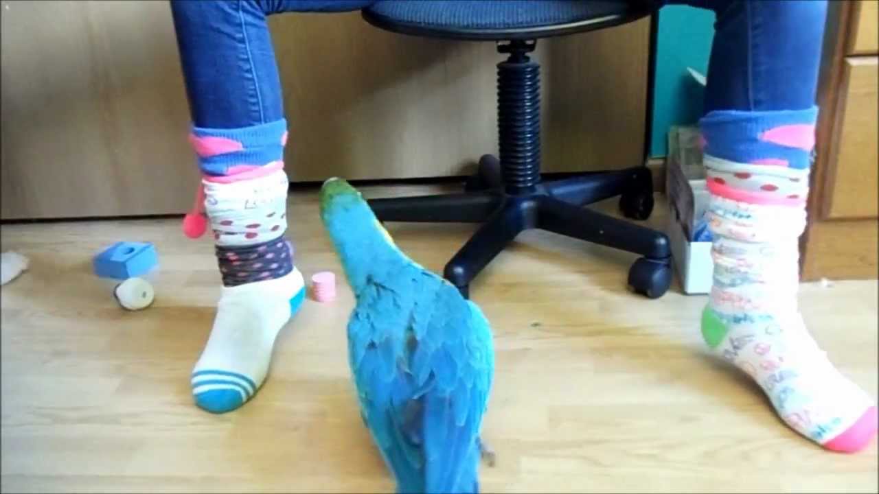 How to Properly Put on Socks YouTube