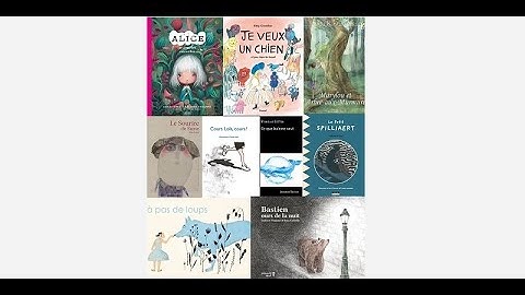 Publishing in Belgium - Towards the world | Youth Focus