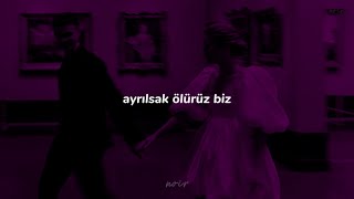 Taner Kaya - Ayrılsak Ölürüz Biz (lyrics) Resimi