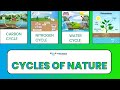 Cycles of Life: Carbon, Nitrogen, and Water in Our Ecosystem
