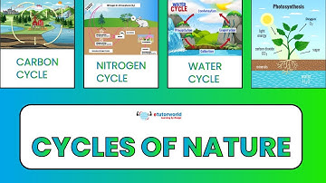 Learn the cycles of nature in a simple form....