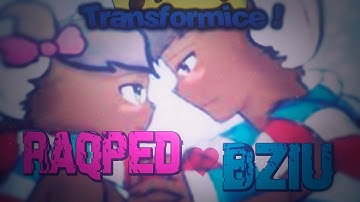 TRANSFORMICE - Raqped e Bziu ♥