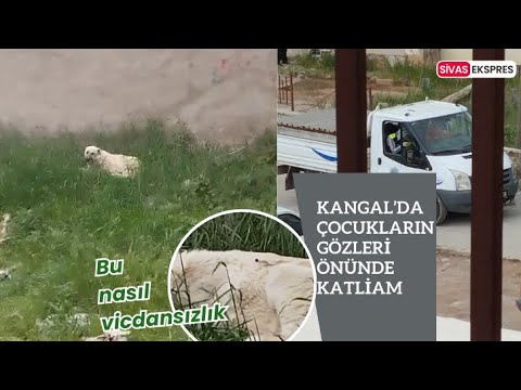 Kangal’da Çocukların Gözleri Önünde Katliam