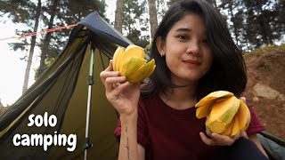 solo camping near giant tree rujak mango