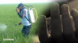 Tak Terima Padinya Disemprot, Seorang Warga Bacok Kepala Desa di Aceh hingga Tewas