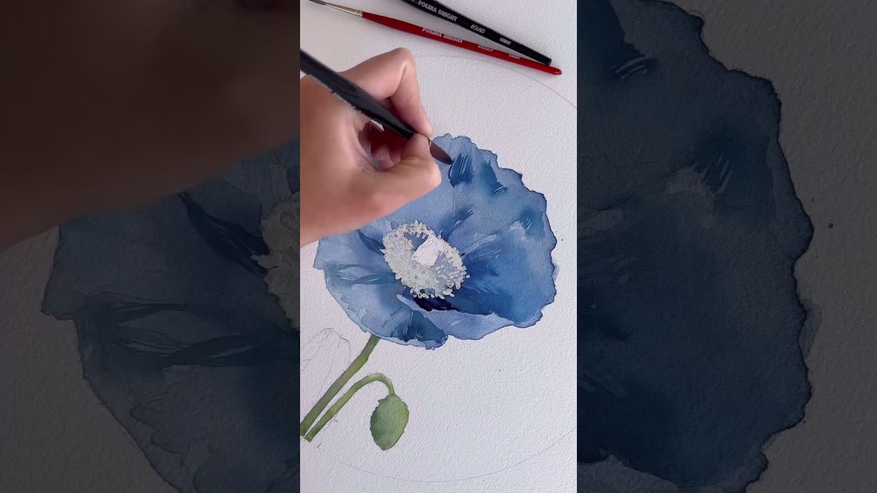 Himalayan blue poppy by Polina Bright 