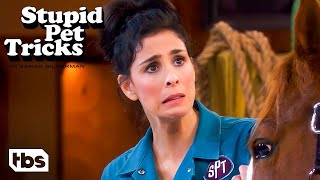 Sarah Silverman Wasn’t Ready for This Kind of Horsing Around (Clip) | Stupid Pet Tricks | TBS