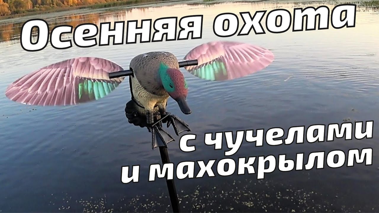Осенняя охота на уток с МАХОКРЫЛАМИ и чучелами. СЕКРЕТЫ правильной расстановки